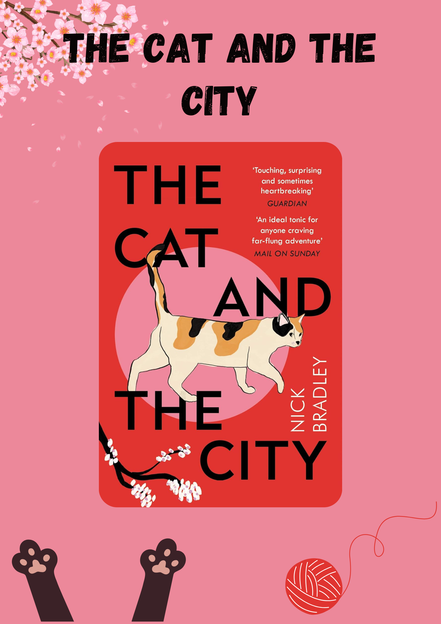 The Cat and The City
