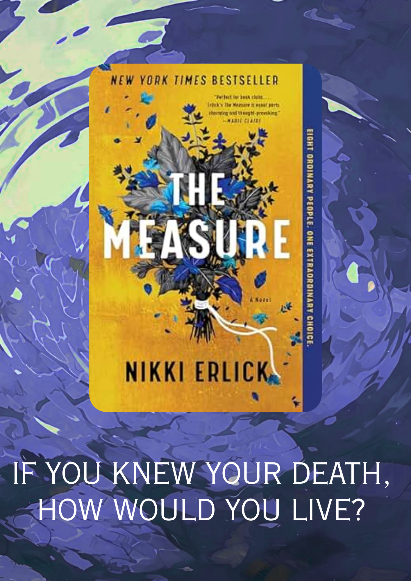 The Measure by Nikki Erlick